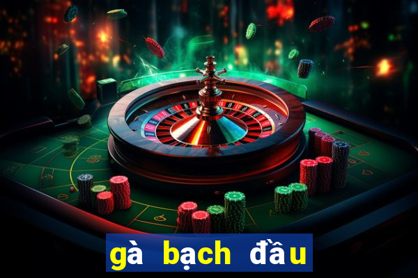 gà bạch đầu chỉ 2 chân