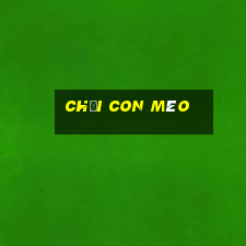 chơi con mèo