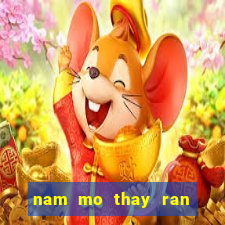 nam mo thay ran co y nghia gi