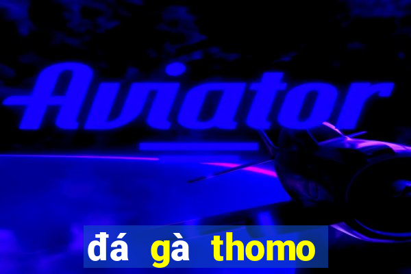 đá gà thomo trực tiếp sv388