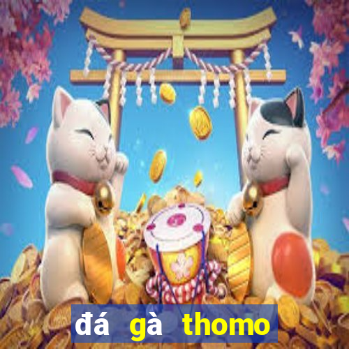 đá gà thomo trực tiếp sv388