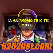 đá gà thomo trực tiếp 999