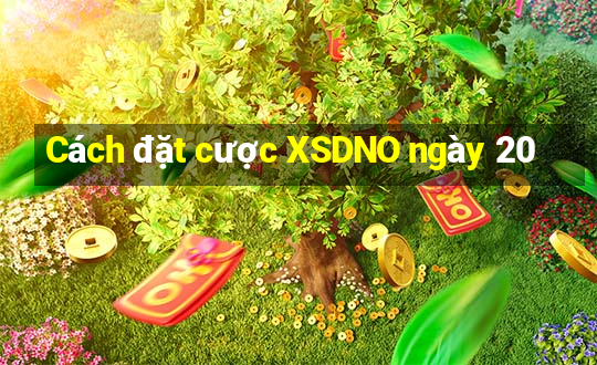 Cách đặt cược XSDNO ngày 20