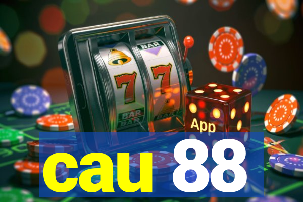 cau 88