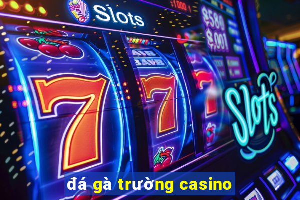 đá gà trường casino