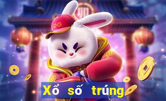 Xổ số trúng giải nhất