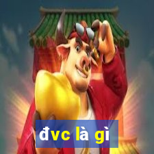 đvc là gì