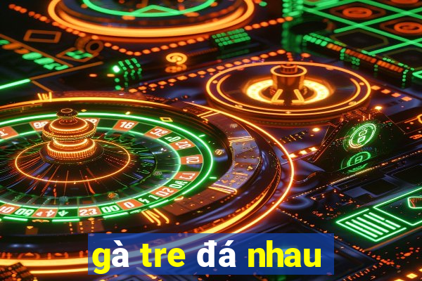 gà tre đá nhau