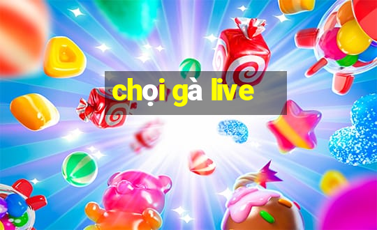 chọi gà live