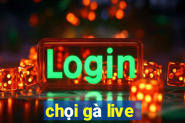 chọi gà live