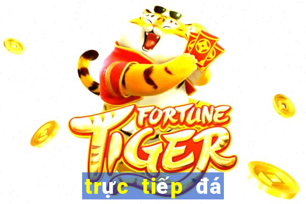 trực tiếp đá gà don thomo