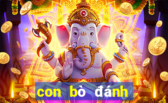 con bò đánh số mấy