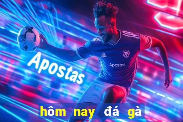 hôm nay đá gà màu gì