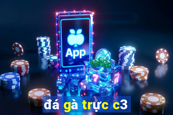 đá gà trực c3