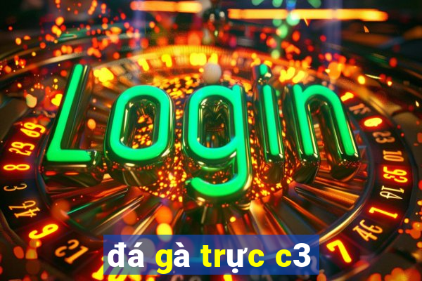 đá gà trực c3