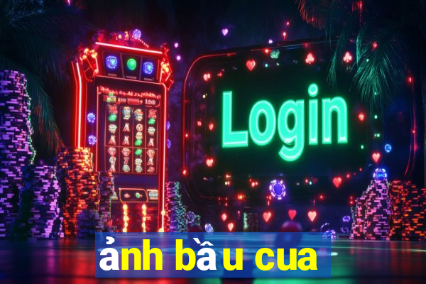 ảnh bầu cua