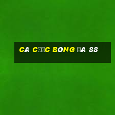 cá cược bóng đá 88