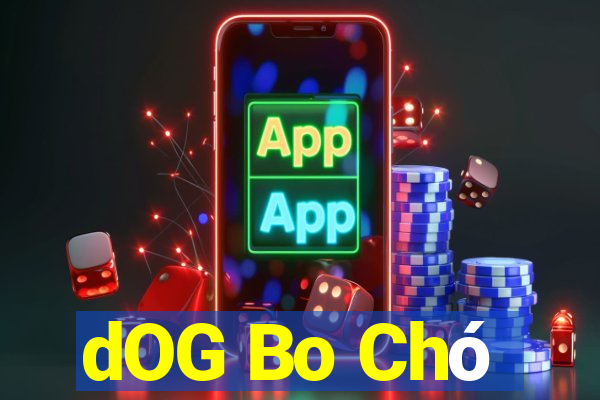 dOG Bo Chó