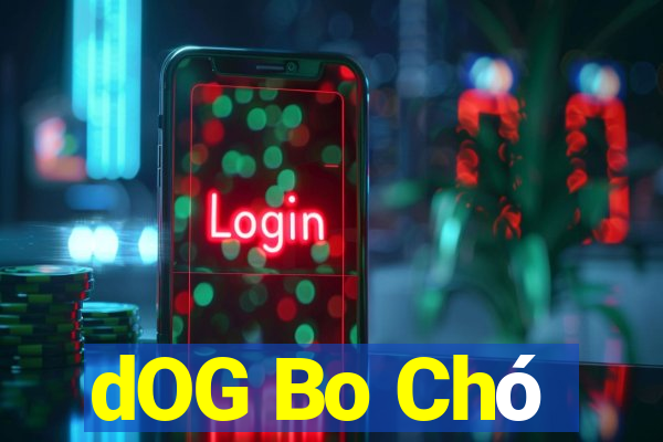 dOG Bo Chó