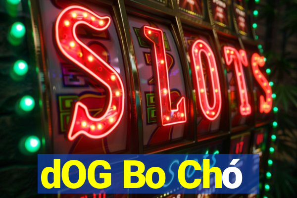 dOG Bo Chó