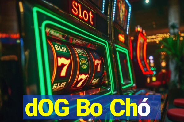 dOG Bo Chó