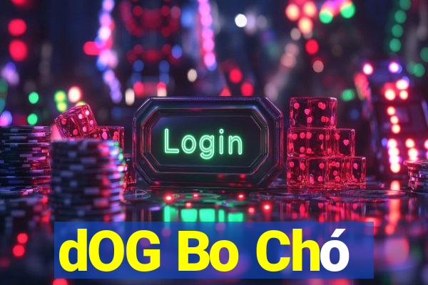 dOG Bo Chó