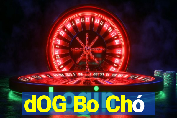 dOG Bo Chó