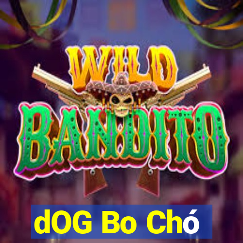 dOG Bo Chó