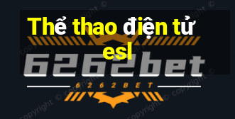 Thể thao điện tử esl