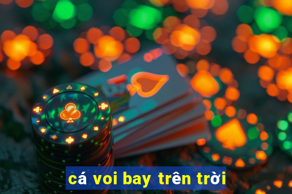 cá voi bay trên trời