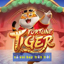 cá voi bay trên trời