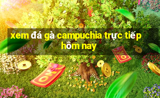 xem đá gà campuchia trực tiếp hôm nay