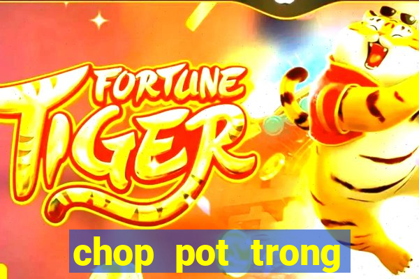 chop pot trong poker là gì