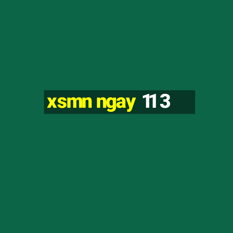 xsmn ngay 11 3