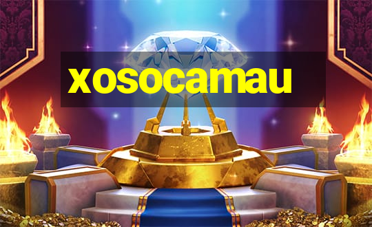 xosocamau