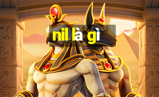 nil là gì