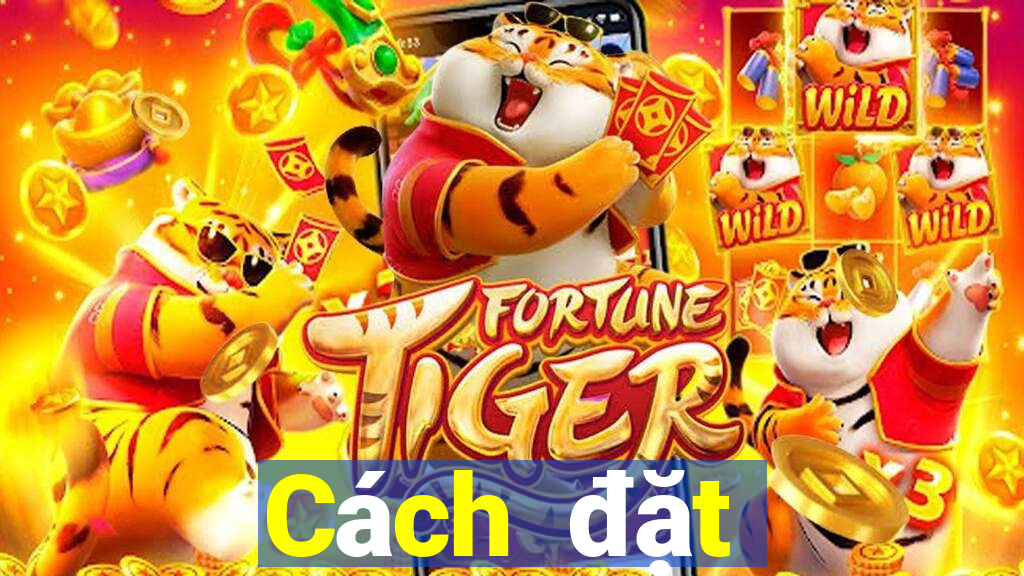 Cách đặt cược XSNT ngày 15