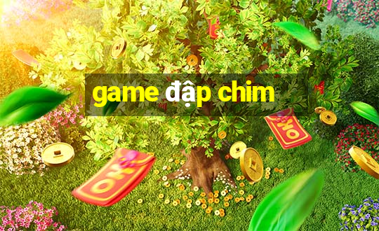 game đập chim