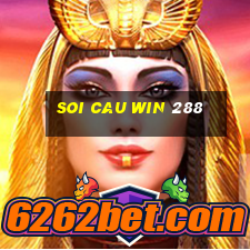 soi cau win 288