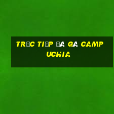 trực tiếp đá gà campuchia