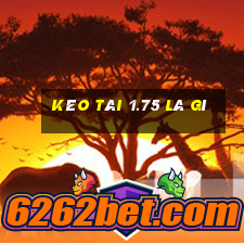 kèo tài 1.75 là gì