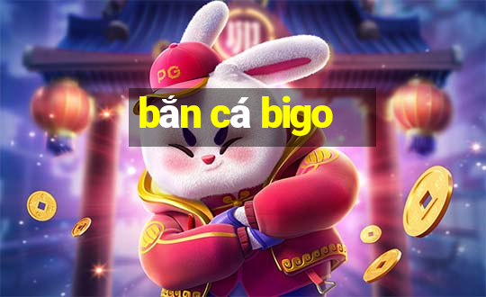 bắn cá bigo