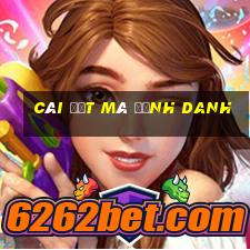 cài đặt mã định danh