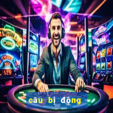 câu bị động đặc biệt