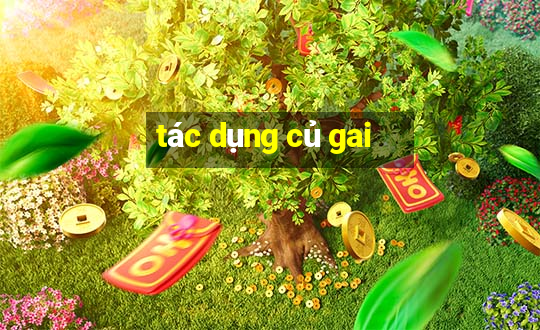 tác dụng củ gai