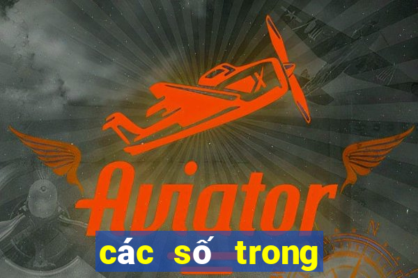 các số trong lô đề