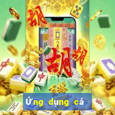 Ứng dụng cá cược bóng rổ