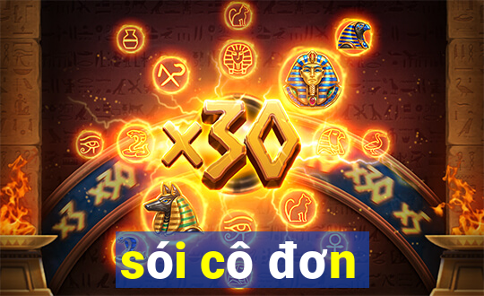 sói cô đơn