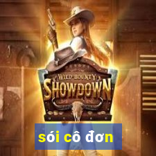 sói cô đơn