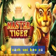 cách soi kèo cá độ bóng đá